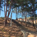 더휴식 스테이 | 양양 낙산사 템플스테이 휴식형 후기 | 새해 갱생 프로젝트 😇