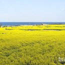 호미곶경관영농조합법인 뉴시스