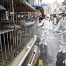 말바우 농장 이미지