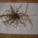 용담대물 이미지