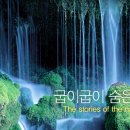 상원공원 Daum카페