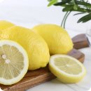 레몬라이프 이미지