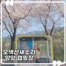 [아이랑강아지랑]강원도 양양 오색산새소리캠핑장 / 양양캠핑장 / 애견동반캠핑 /양양여행 / 오색약수터