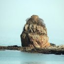 충민마을회관 Daum카페