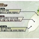 무 티스토리