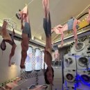 샘터 | 강호동네서점 쿠팡플레이 악뮤편에 영감의 샘터 블로그 후기가 나왔어요