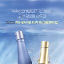 은영화장품 - 도봉구 도봉로181길 13 | 은영화장품