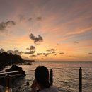 오션 클리프(4) 이미지