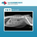 신탄진 동물병원 이미지