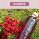 베리해피펀팜