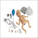 더미통상 이미지