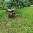 백신농장 이미지