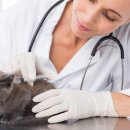 범 동물병원 이미지