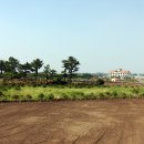 우진민박 이미지