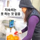 경마공원서 4일간 장터열립니다. 이미지