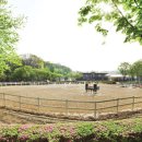 Royal Saddle Equestrian Society 이미지