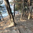 한봉축사 이미지