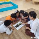 봉황초교병설유치원 이미지