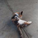 박문주유소 이미지