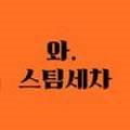 와스팀손세차