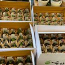 군산시농업인회관1층 강당 | 2024년 군산도시농업네트워크 정기총회 개최 소식