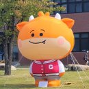 충북대 축제, 아벨리오 후기!