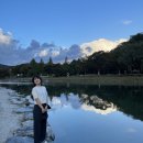 포레드노드 이미지