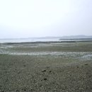 대포갯벌 이미지