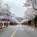 토산지한식뷔페 이미지