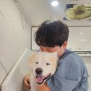 멍빨DAY 이미지