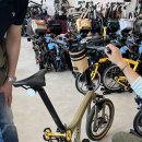 나랑노랑 이미지