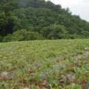 현암농장 이미지