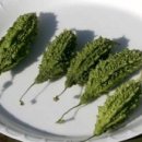 여주-0401 이미지