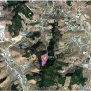 보금농장 이미지