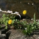 구덕초등학교 이미지