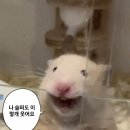 밥도둑 - 184763 | 밥도둑