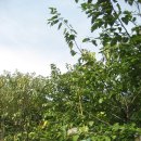 하송농장 이미지