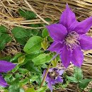 만경농장1 이미지