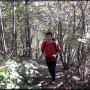 광덕1로10 이미지