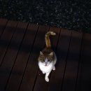 그린밸리펜션 이미지