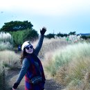 제주 출사 11/18~21카멜리아힐 이미지