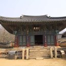 대흥사 네이버블로그