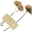 박살롱 - 서구 | 박살롱