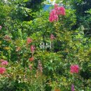 운조루 막둥이집 이미지