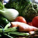 성실농장 이미지