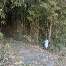 녹차카페 | [카페 녹음] 하동 지리산&amp;녹차밭 예쁜 뷰 카페 후기 (+내돈내산)