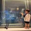 어얼리 도어 이미지