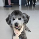 멍뷰티샵 이미지