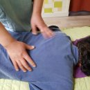 건강 이상운지압원 이미지