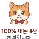 하늘숲황토펜션 | [단양 숙소 추천] 겨울 촌캉스 숲이랑 황토펜션 힐링하고 온 후기 | 바베큐 불멍 모닥불 주차